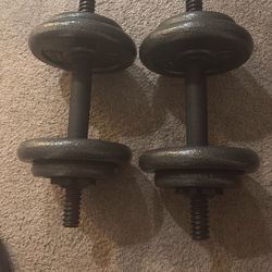 Adjustable Weights 