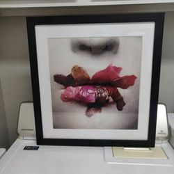 Wall Decor/Collectable Art $50 OBO 