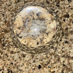 Waterford daffodil Paperweight 