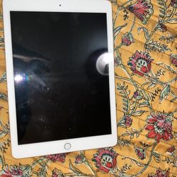 iPad Rose Gold 6