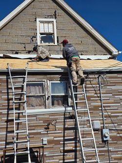 Roofing shingles