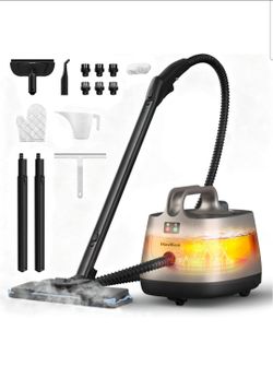 Steam cleaning vacuum