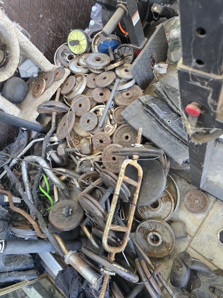 . Weights For SALE MUST GO