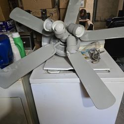 Ceiling Fan With Light