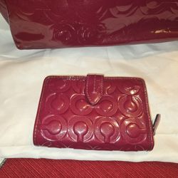Coach Purse And Wallet 