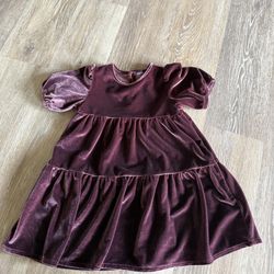 Toddler 3T velvet burgundy dress