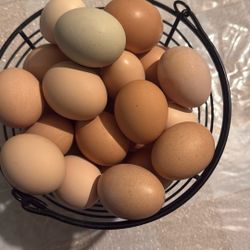 Eggs For Sale