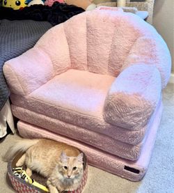 Futon Couch