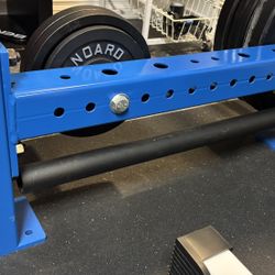 Rogue monster Lite 30” Pipe Safety Bars