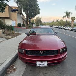 2005 Ford Mustang 