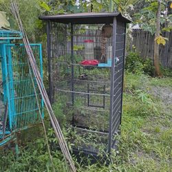 Two Cages For Birds
