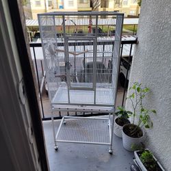Bird Cage