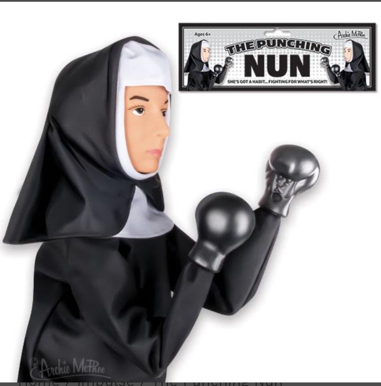 The Punching Nun