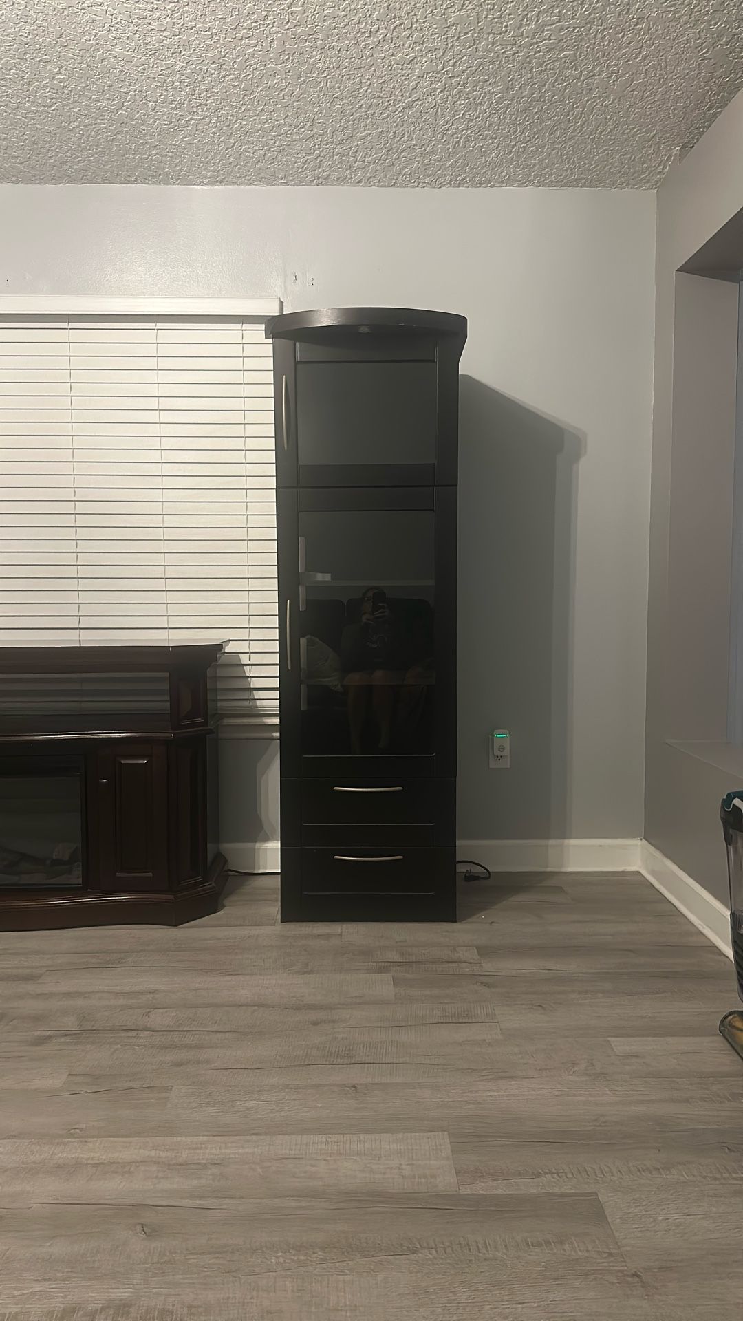 Living Room Shelves