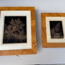 Elegant Framed Dry Leaf Art Collection
