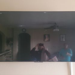 Roku TLC 65in TV
