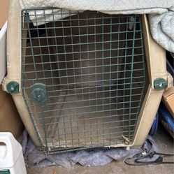 Pet Kennel