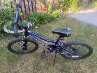 Schwinn bicycle size 20