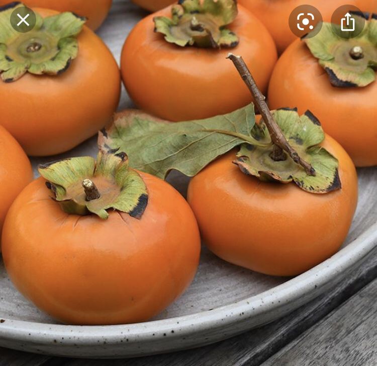 Persimmons for sale grown organically