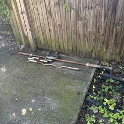 Curl Bars