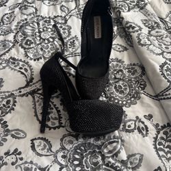 Steve Madden Shoes 