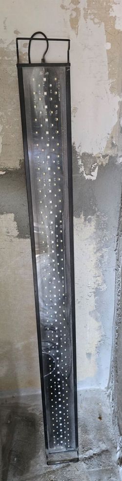 Fish tank light