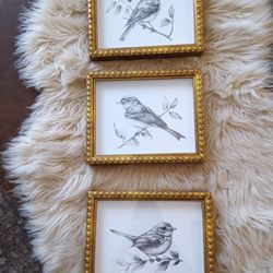 Cottage Farmhouse Bird Prints