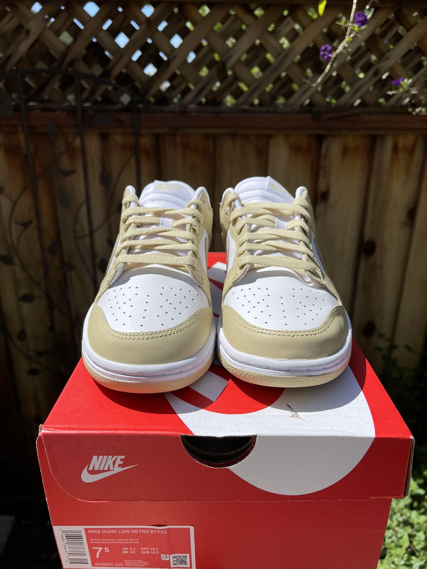 Nike Dunk Low Retro BTTYS \