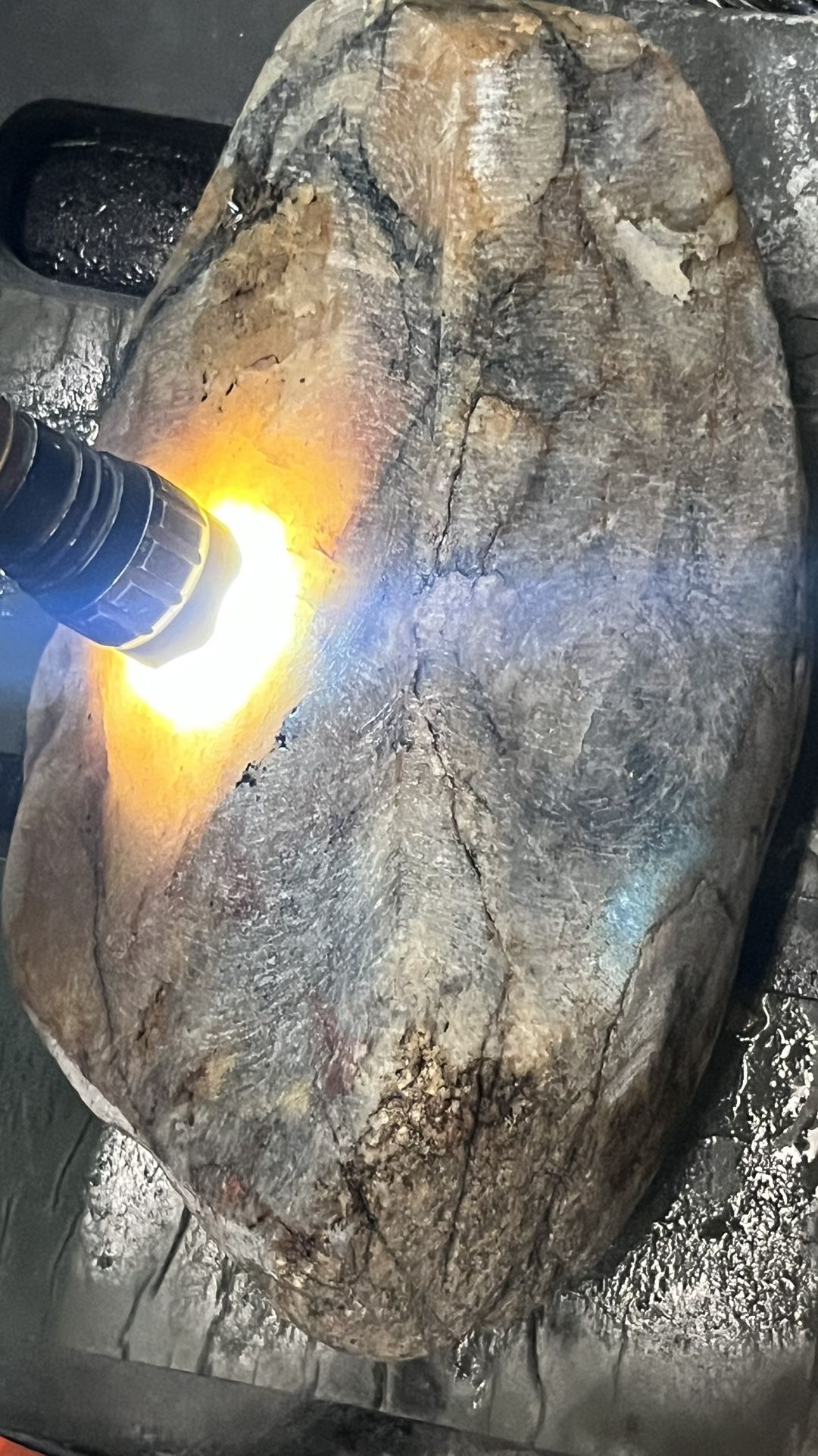 10 Pound (4.6 Kilograms) 22K Carat Multi Color Sapphire