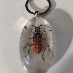 Massive Spotted Longhorn Beetle Keychain