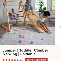 Toddler Climber and Swing 