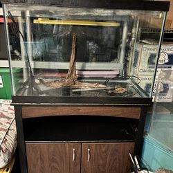 65 Gallon With Stand And Everything