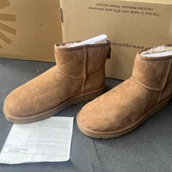 Uggs Boots Woman 