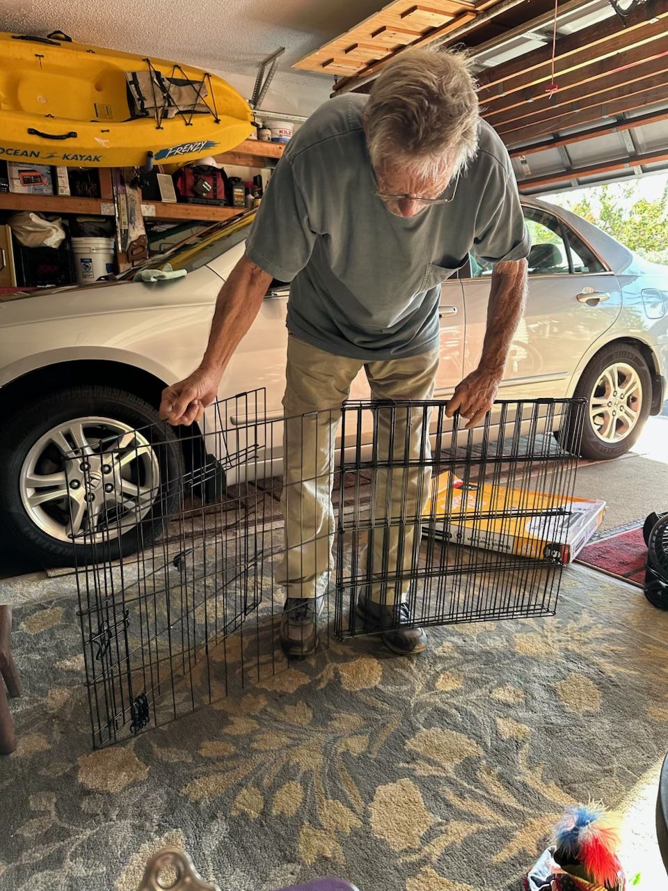 FREE - Exercise Pen (Dogs Or Cats)