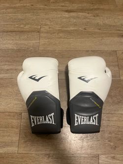 Everlast Boxing Gloves
