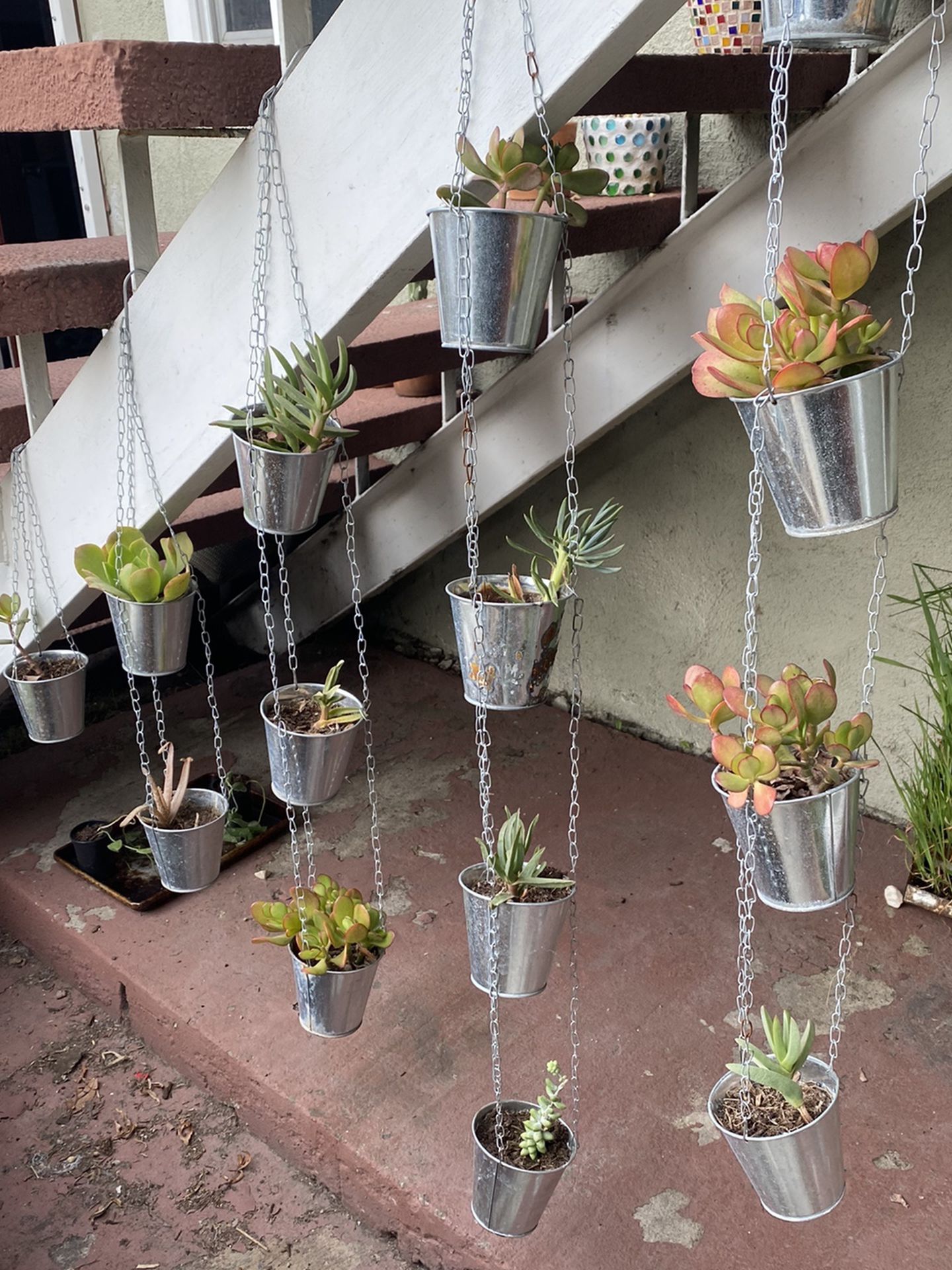 14 x Hanging Tin Pots With Different Succulents