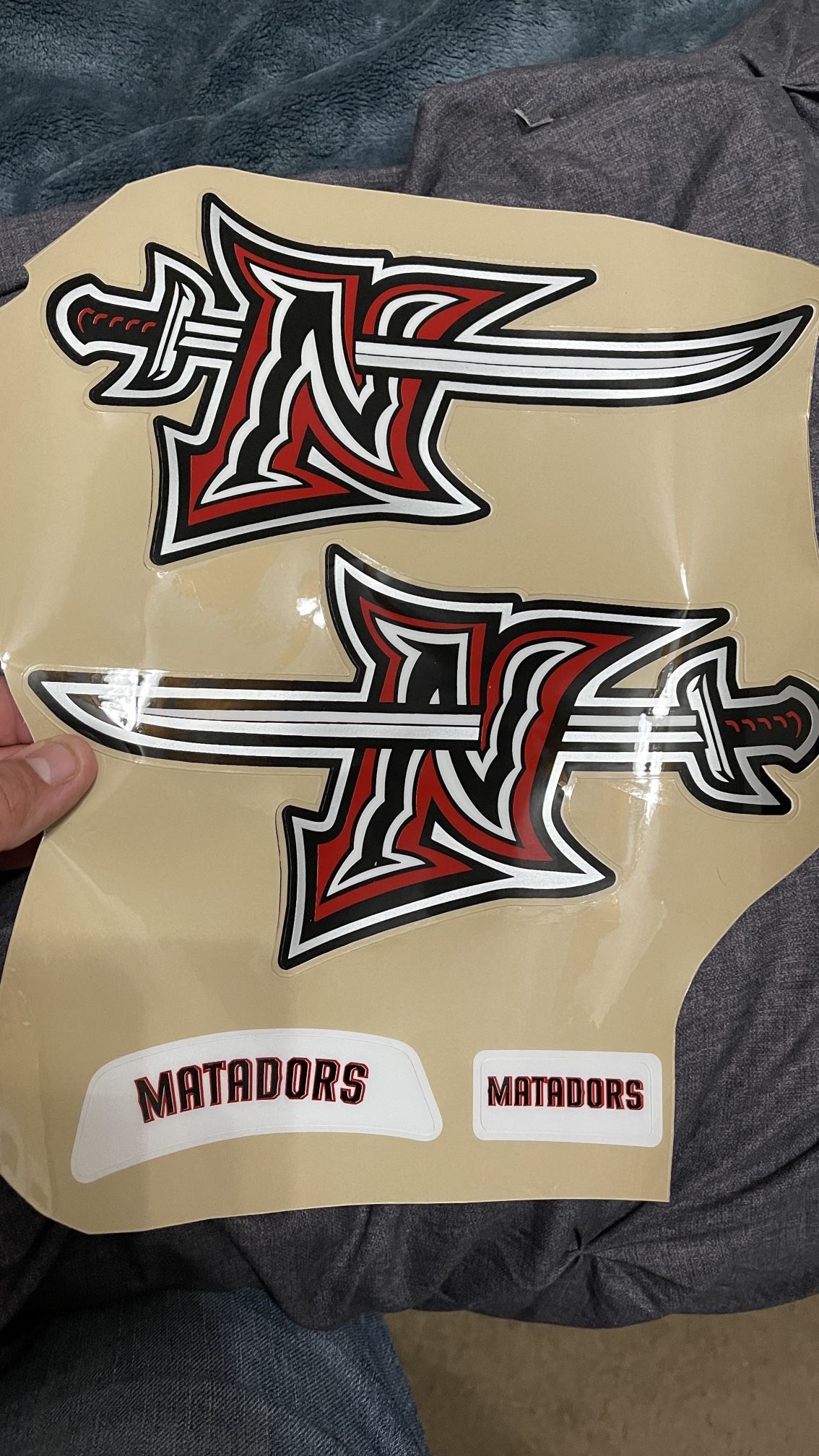 CSUN Football Helmet Decals (decals Only)