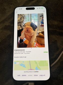 IphoneNo