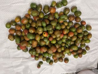 Ciruelas=Jocote Fruit Available $7 Per Pound Or 3 Lbs For $20,located In WPB 33412 Acreage,PICK UP Only