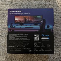 Govee - RGBIC LED Neon Rope Light for Desks 6.5ft - H61C2 - NEW