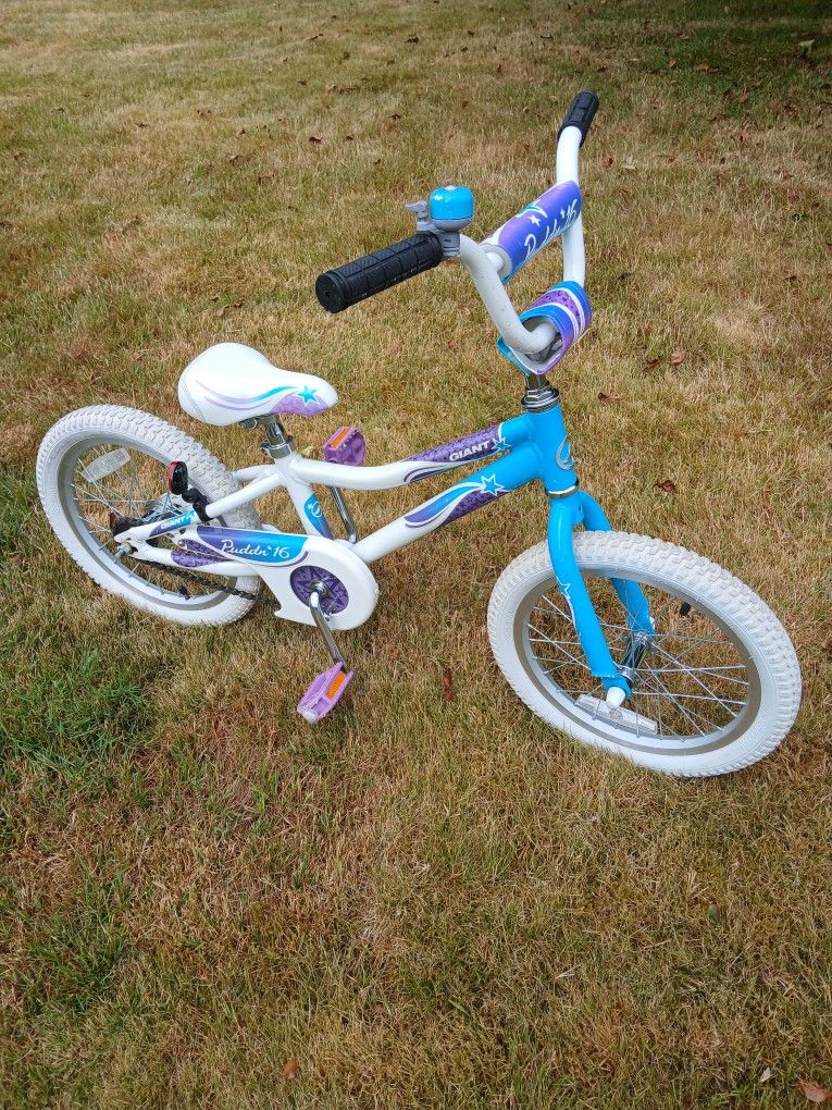 Giant Puddin' 16 Inch Girls Bike