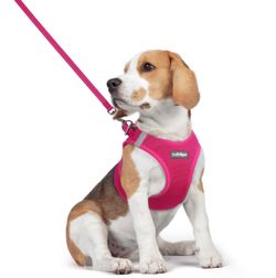 Harness and Leash Large