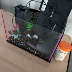 Fish Tank - 3 Gallon