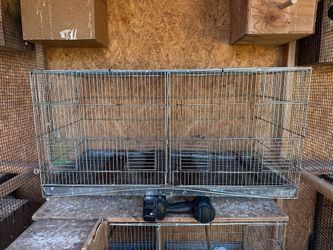 Bird cage