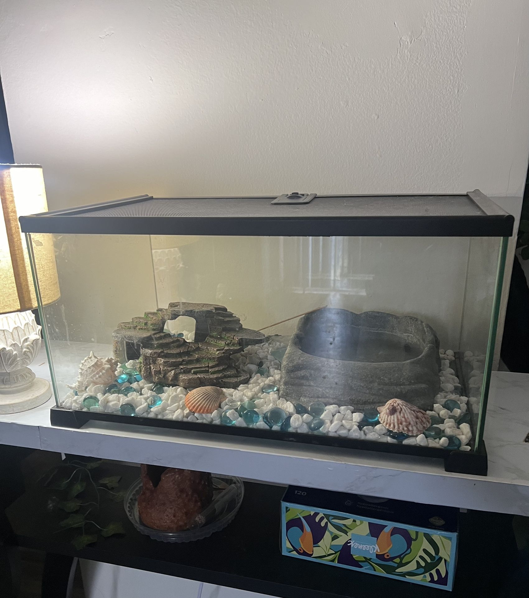 Fish/Reptile Tank