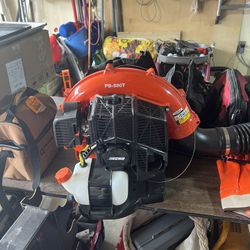 Echo Leaf Blower Brand New 