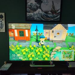 Vizio TV With Roku Attachment