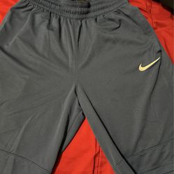 Nike Dri-fit Small Shorts 