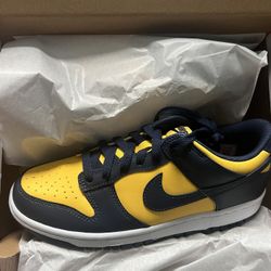 Nike Dunk Low Michigan 