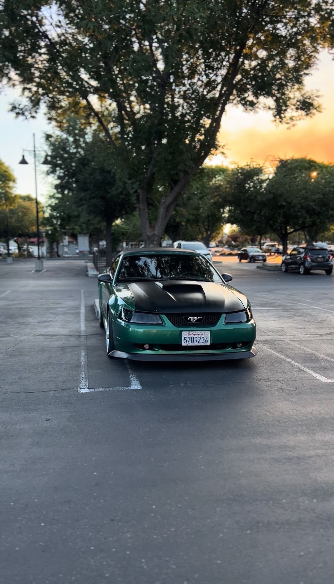 2000 Ford Mustang